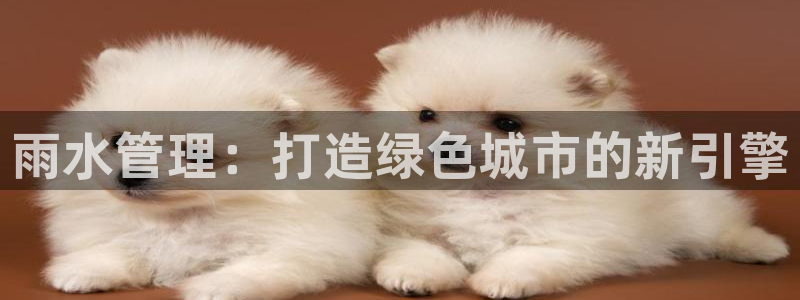 球盟会官方网页登录