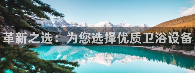 球盟会官方网站入口