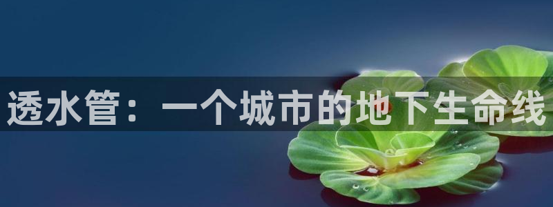球盟会官方网址入口