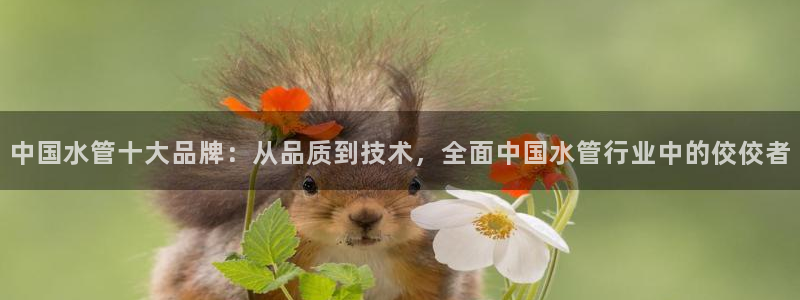 球盟会能提现吗是真的吗