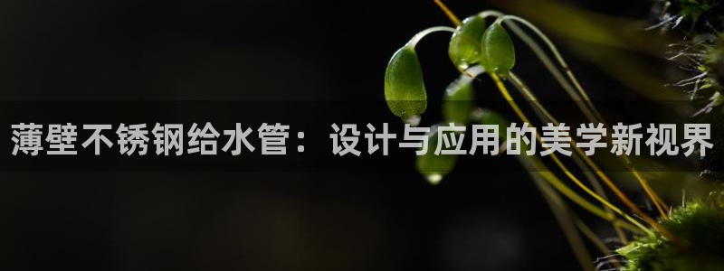 球盟会有没有黑单的人