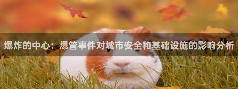 球盟会官方最新入口