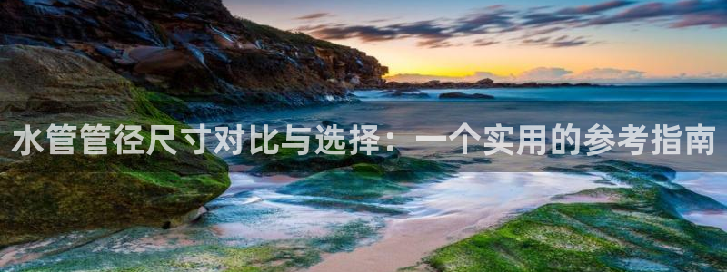 球盟会最新网