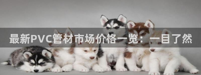 球盟会qmh - 球盟会官方网站