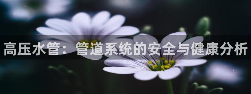 球盟会app最新地址在哪