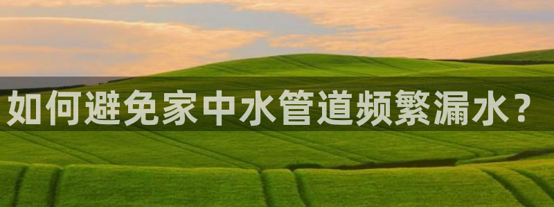 球盟会APP最新地址
