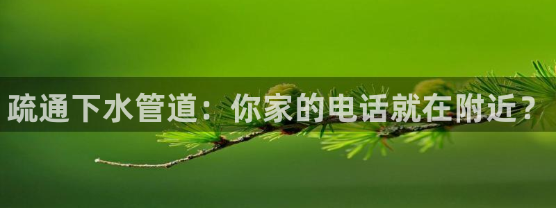 球盟会下款快吗