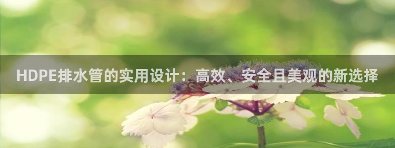 球盟会APP下载