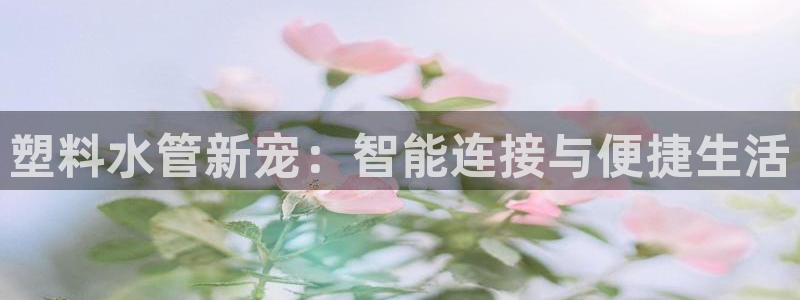 球盟会app网址多少
