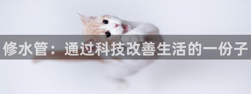 球盟会综合app下载