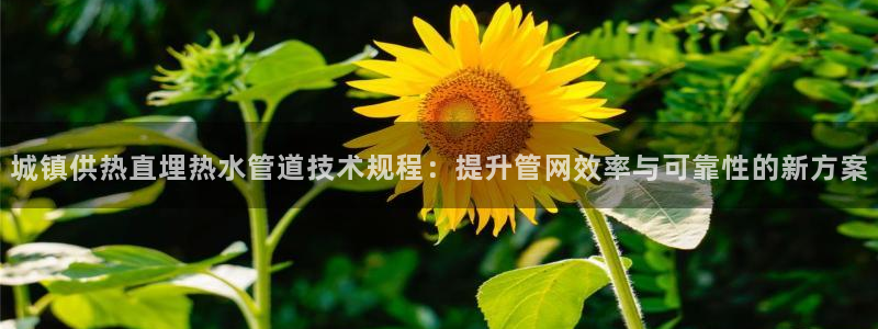 球盟会能提现吗安全吗