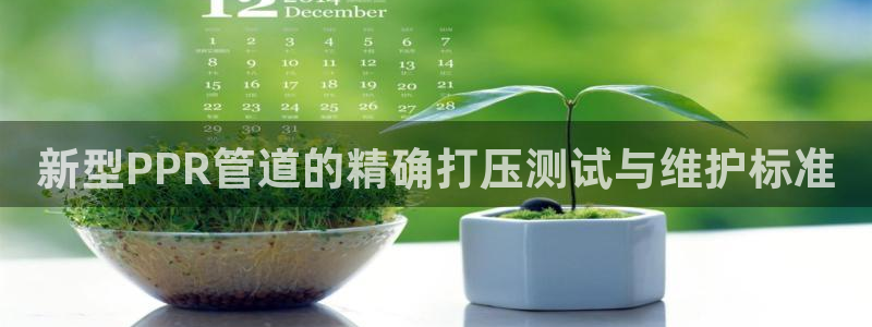 球盟会官方网站入口