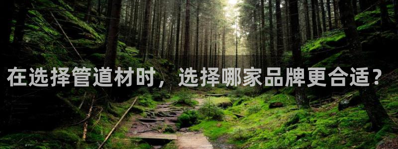 球盟会国际官网