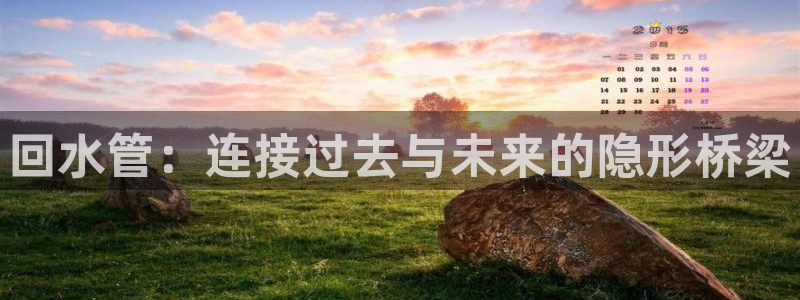 球盟会官方网站