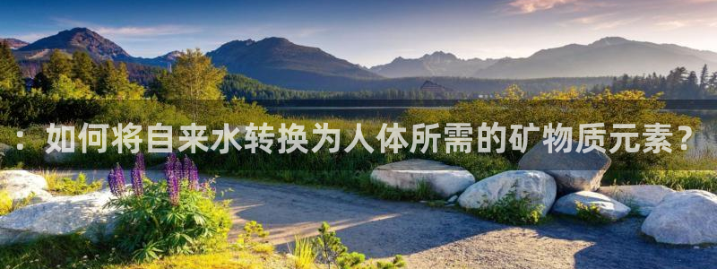 球盟会能提现吗是真的吗