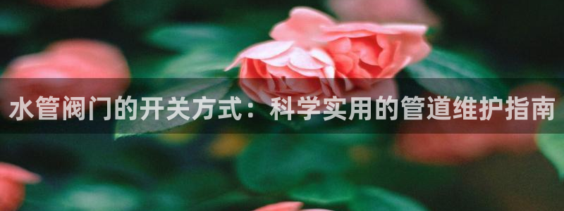 球盟会qmh官网