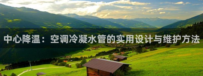 球盟会中国官方网站