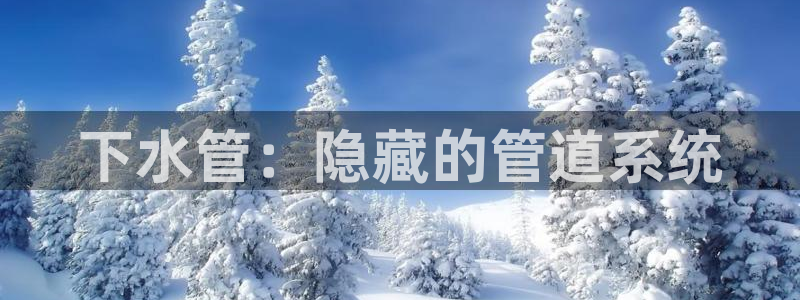 球盟会能退钱吗