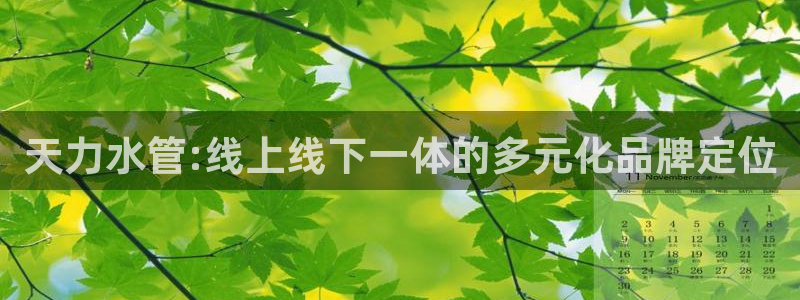 球盟会qm9