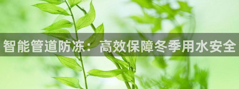球盟会在线网站