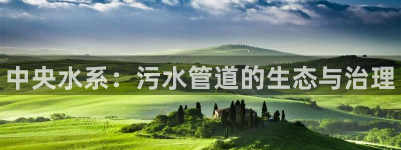 球盟会有限公司怎么样