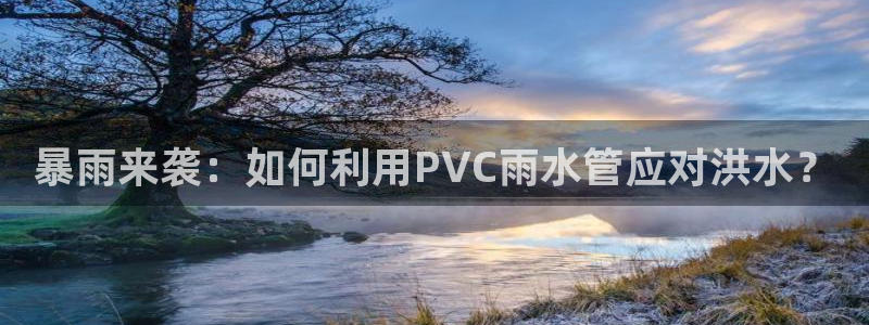 球盟会官方app首页入口