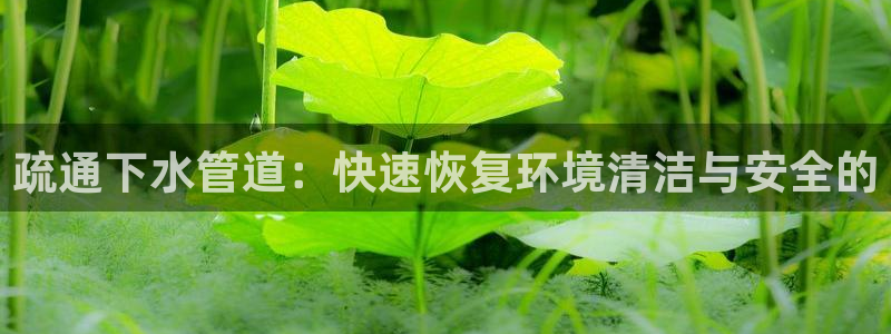 球盟会在线官网
