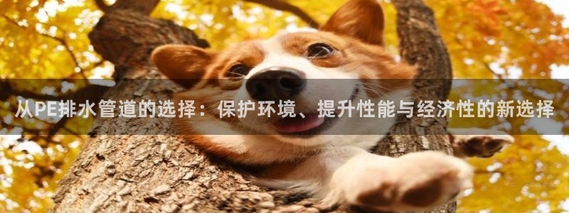 球盟会有没有黑单的人