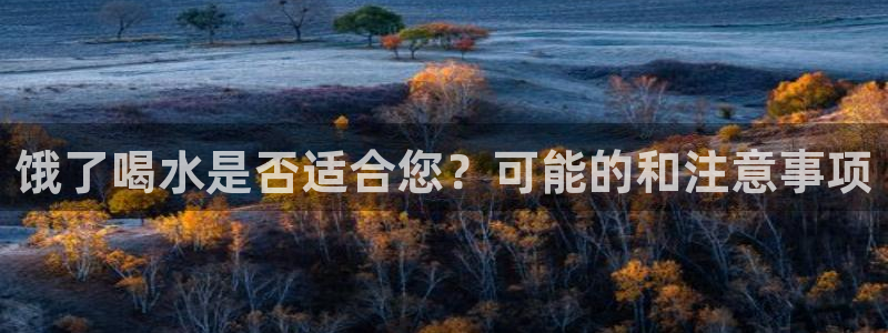 球盟会官方下载