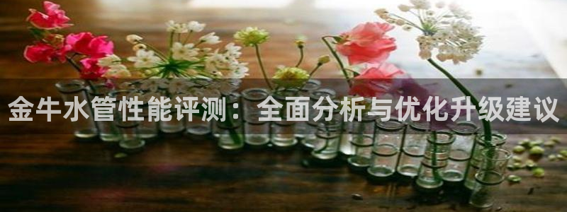 球盟会邮箱