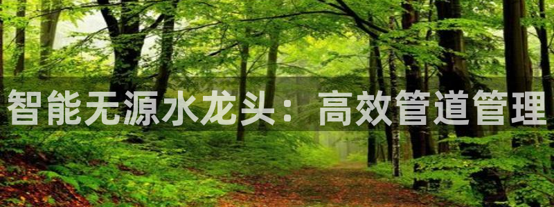 球盟会下载最新版