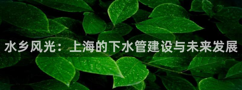 球盟会体育平台