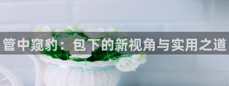 球盟会官方登录平台入口