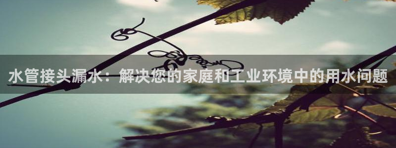 球盟会有没有黑单的球员