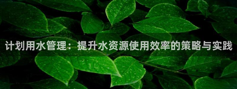 球盟会福利码2023最简单三个步骤
