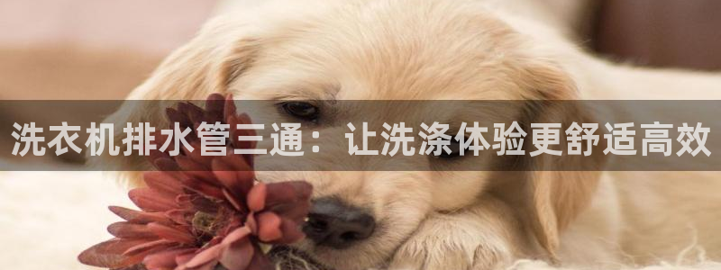 球盟会电子游戏平台