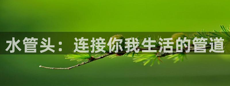 球盟会官方登录平台
