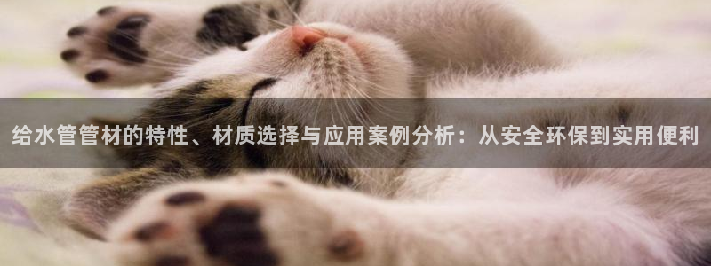 球盟会黑