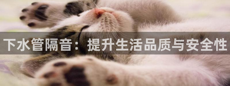 球盟会黑款吗知乎文章