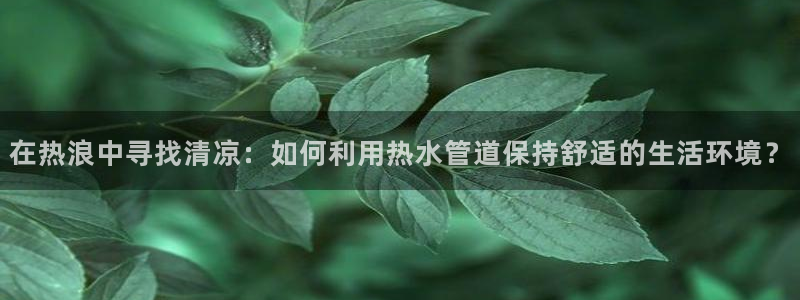 球盟会官方网页登录