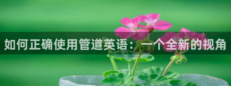 球盟会在线网站