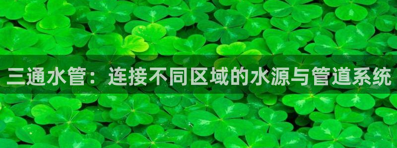 球盟会里面有打牌的嘛