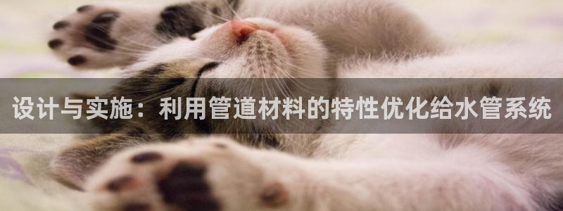 球盟会qmh网页版登录 - qm球盟会官方网站