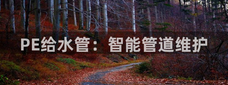 球盟会最新活动