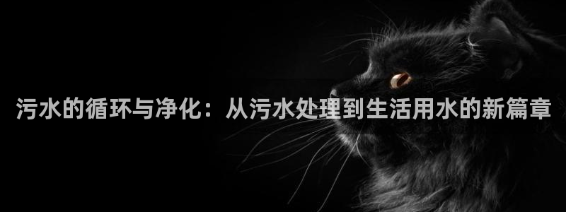 球盟会app最新地址在哪找