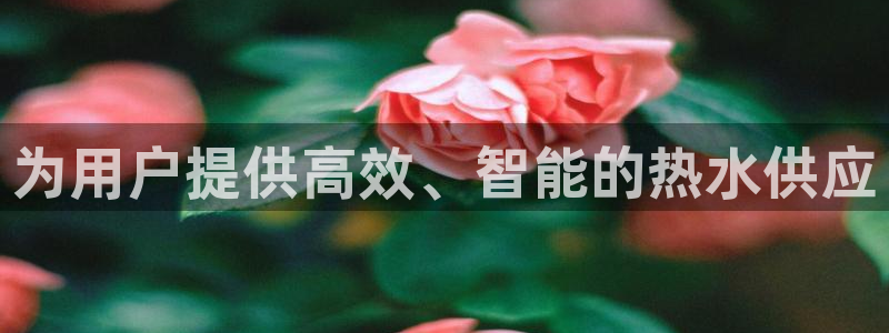 球盟会综合app下载