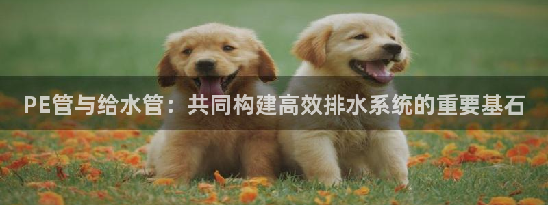 球盟会登录平台