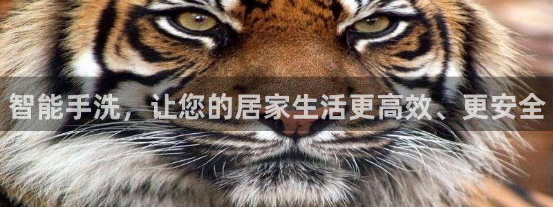 球盟会综合体育平台