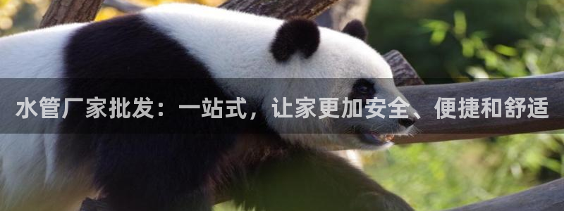 球盟会体验金