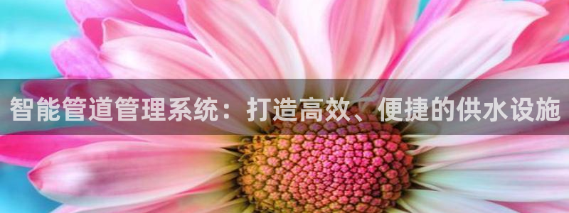球盟会唯一